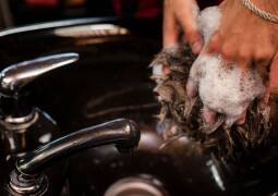 رنگ موی آقایان