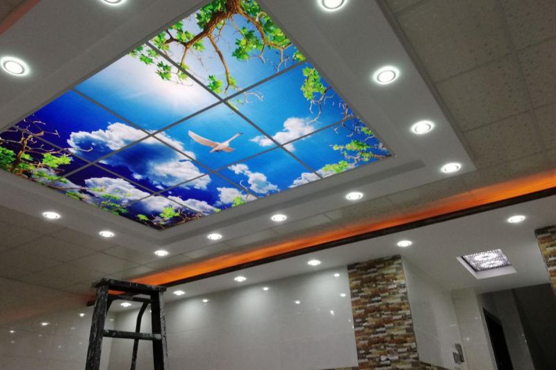 desktop head section image