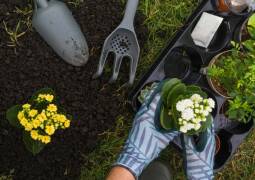 نگهداری باغچه