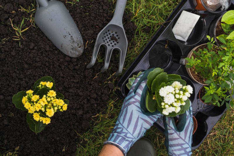 desktop head section image