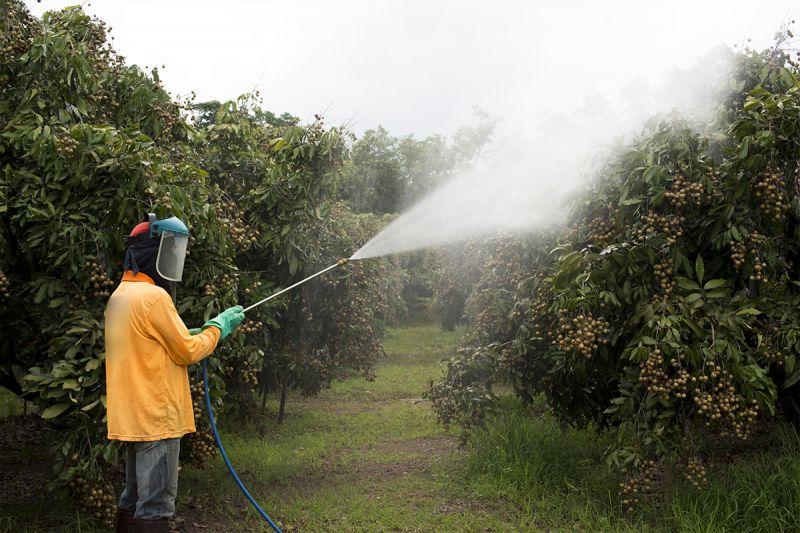 desktop head section image