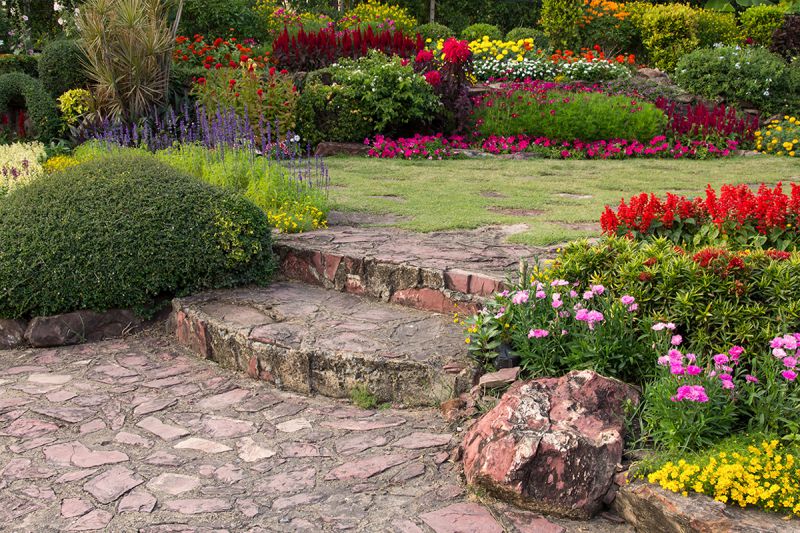 desktop head section image