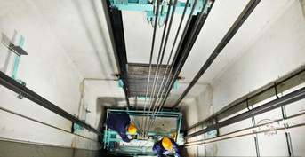 mobile head section image