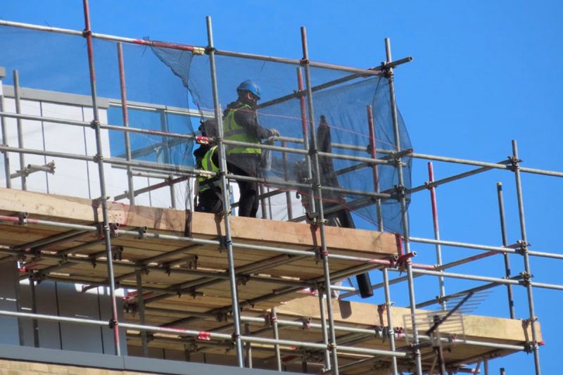 desktop head section image