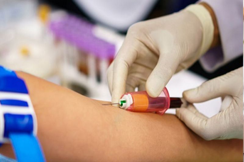 desktop head section image