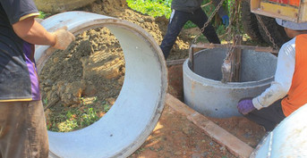 mobile head section image