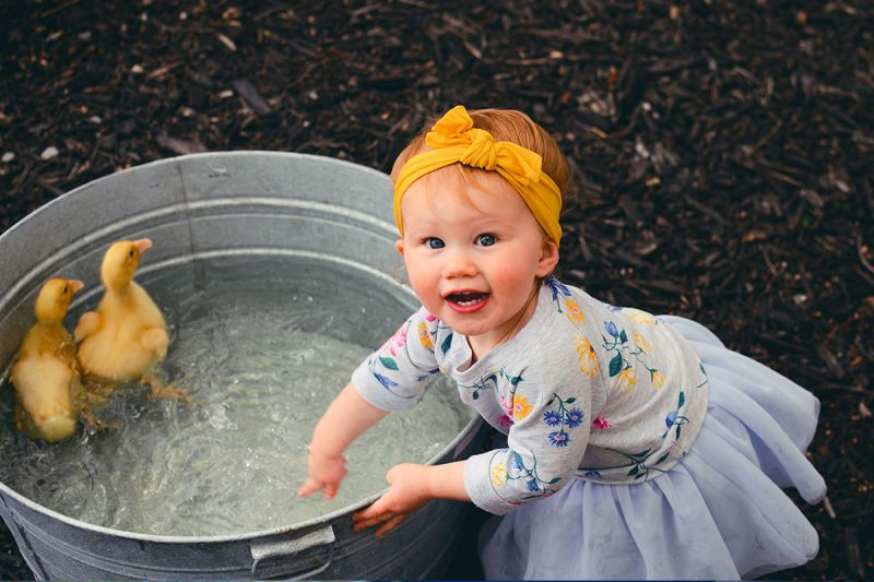 desktop head section image