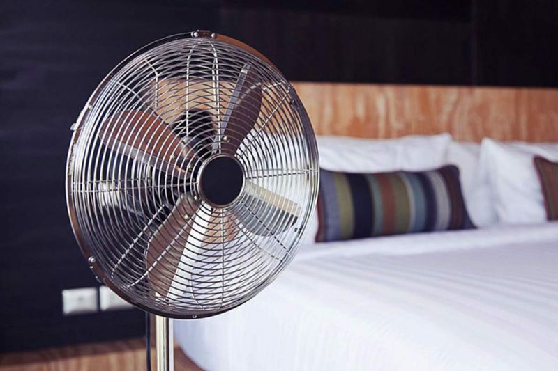 desktop head section image