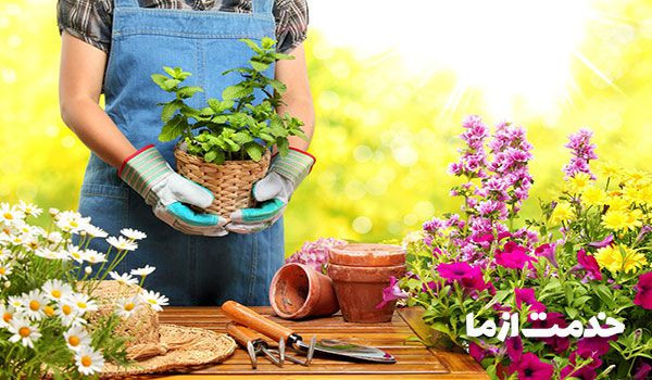 شرکت خدمات گل و گیاه در منزل