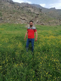 اسماعیل مرادی