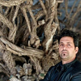 سید مسعود آقایی