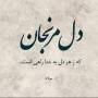 رضا قنطابی
