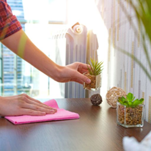 شرکت دنیای خدمات نظافت پاکیزه محور شهر من 