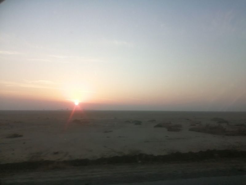 زهره شبانیان