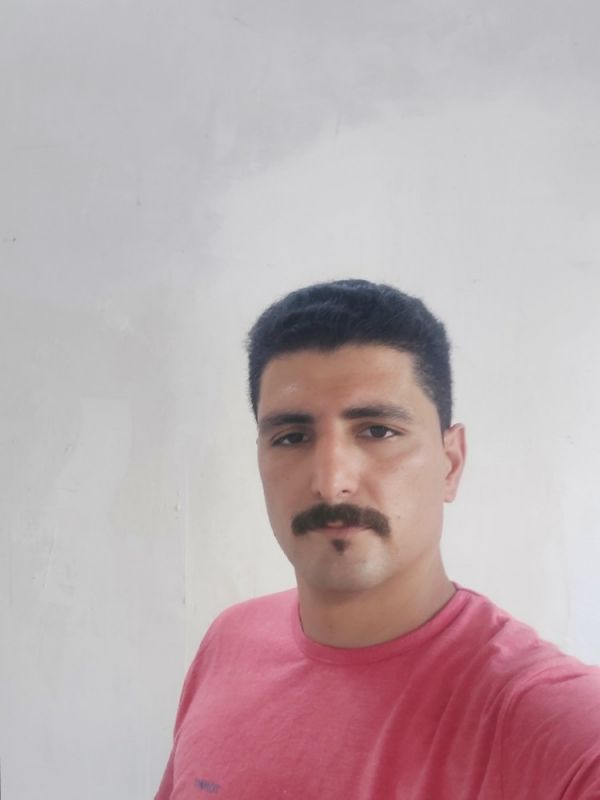 محمد رضا امینی