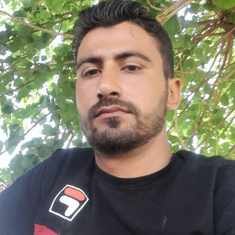 محمد زینلی
