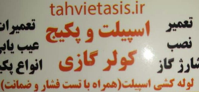 نوید فیروزبخت