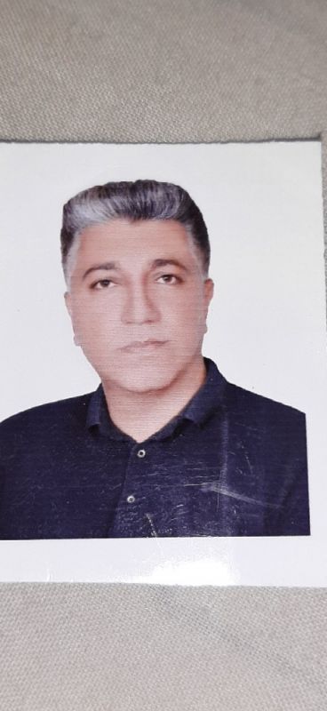 سید مجتبی