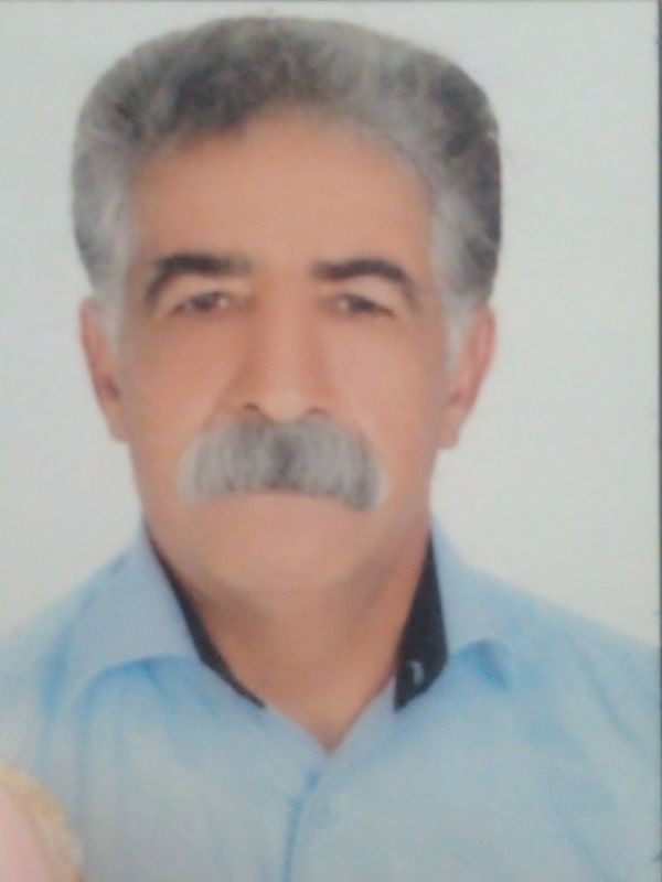 رضا ذوالفقاری