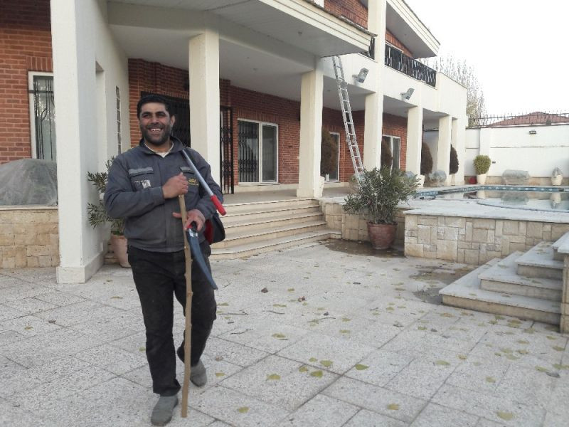 سید مجتبی میرزکی