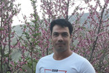 محسن اسدی