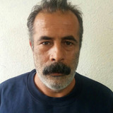 محمدرضا محمدی