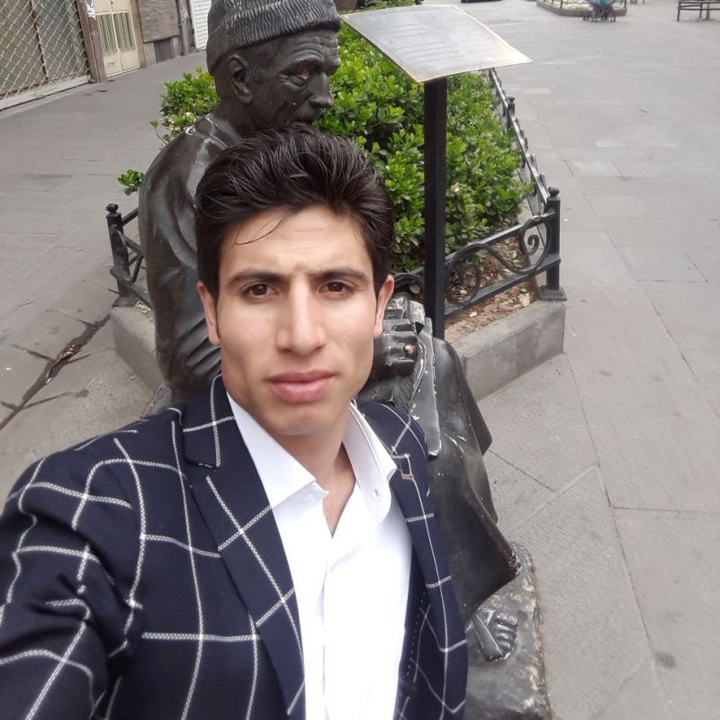 حامد حسن پور