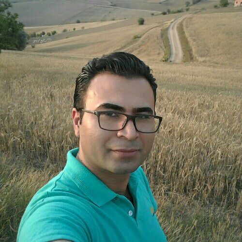 provider user card avatar