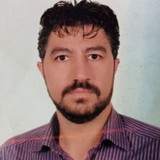 سید مهدی محمودی