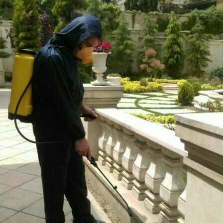 سمپاشی نوین