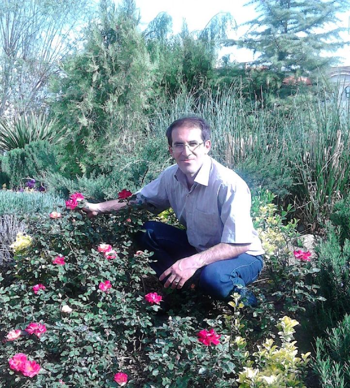 امیررضا هروی زاده