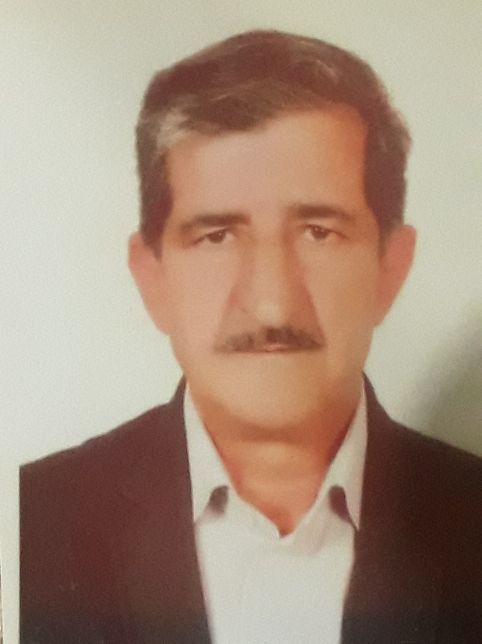 شوزب اناری