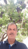 بهزاد ذبیحی
