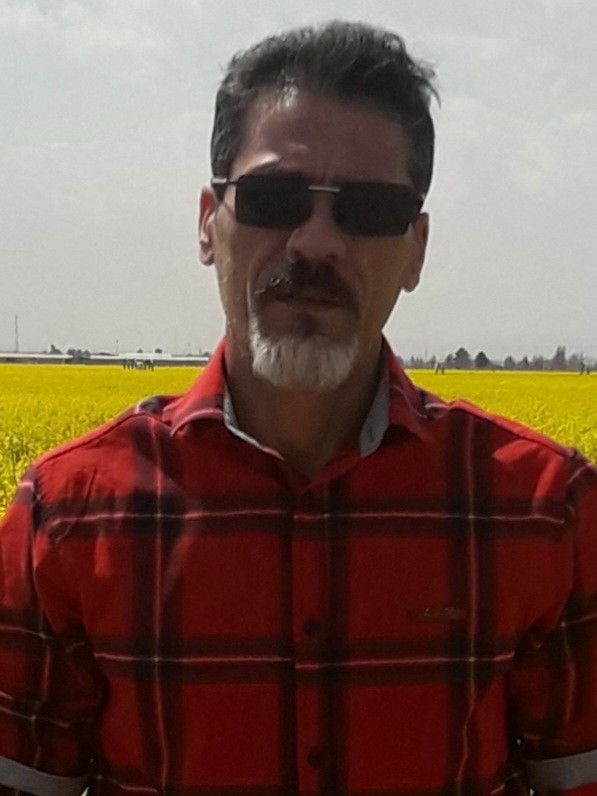 حمیدرضا فرخی