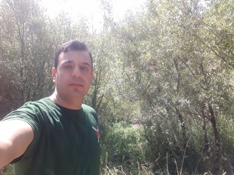 بهنام هاشمی