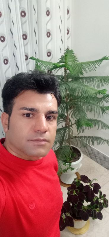 مجتبی محمدی