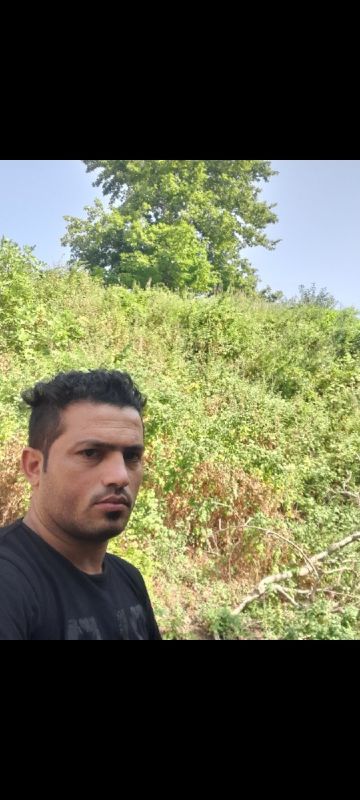داوود حسین زاده