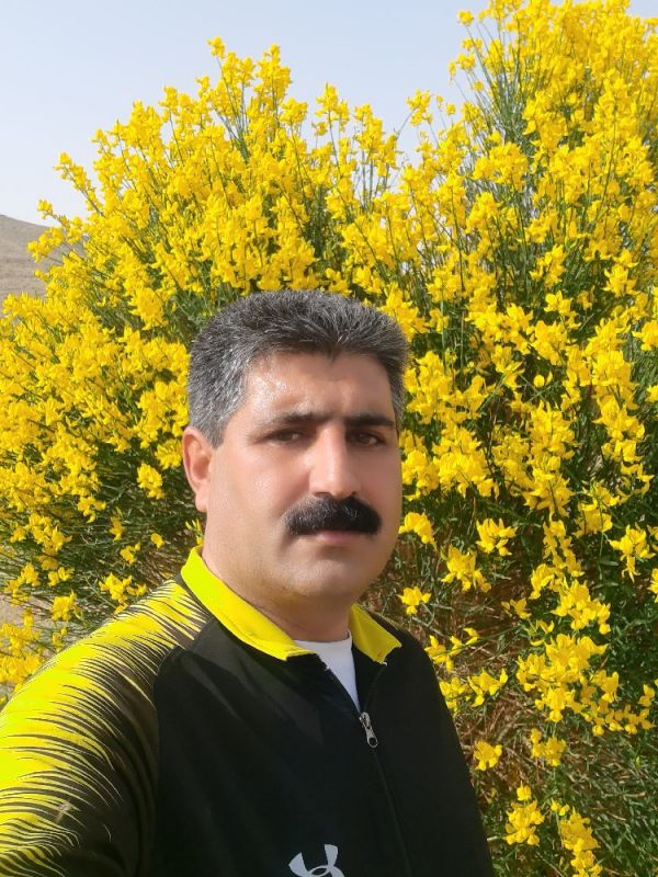 فرهاد اسکندری
