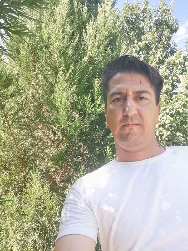 محمد داودی
