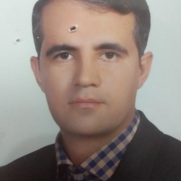 حمید استادی