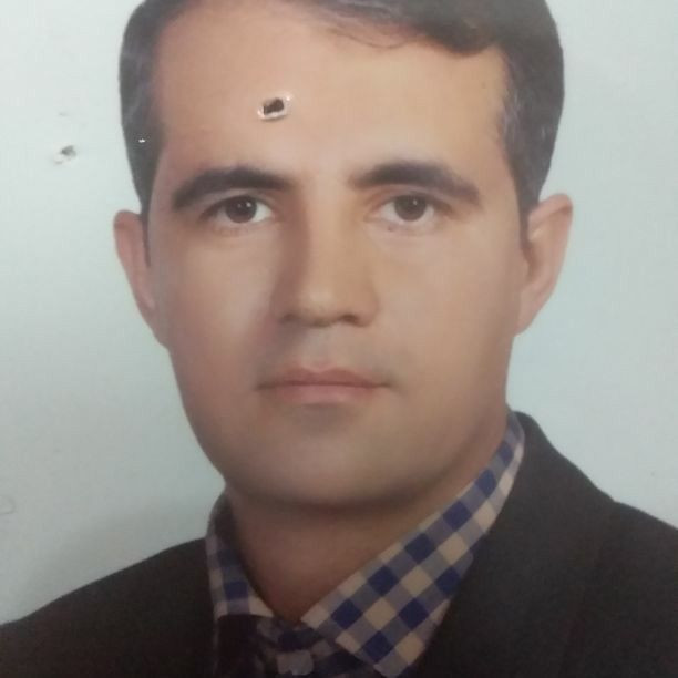 حمید استادی