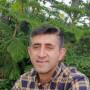 مجید روستا