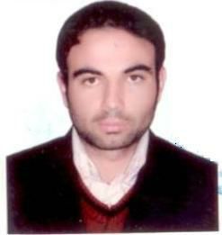 گنجینه سبز