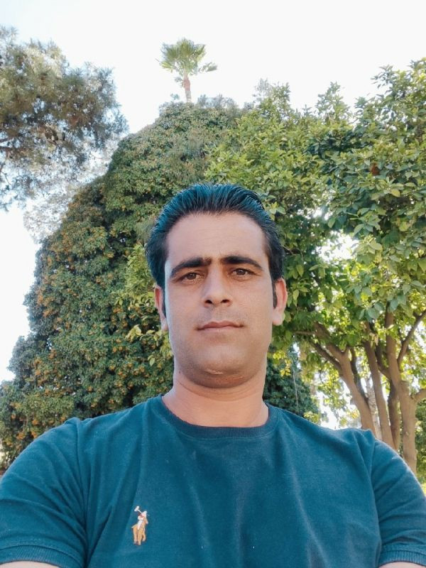 قاسم مرجانه