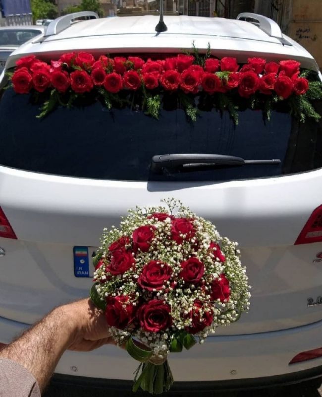 حانیه یزدانی رحمت آبادی
