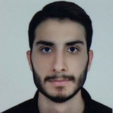 علی فرجی