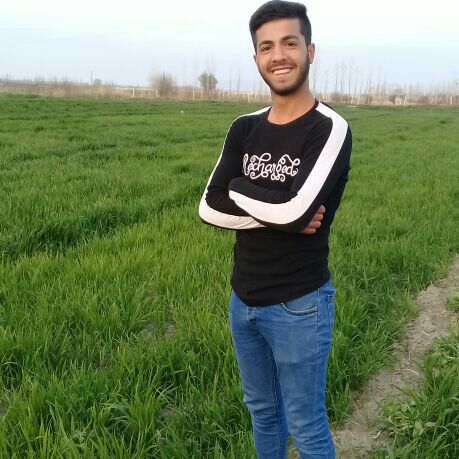 محمدرضا علیپور