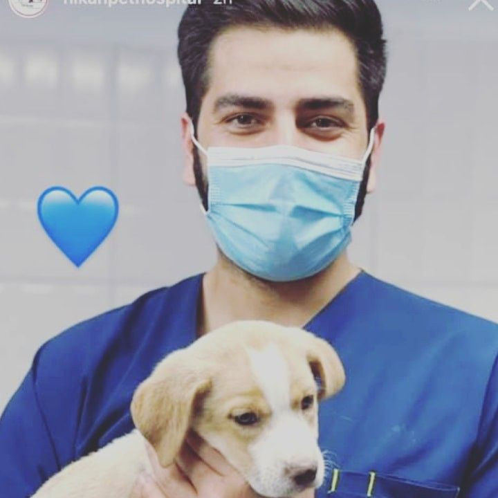 برسا