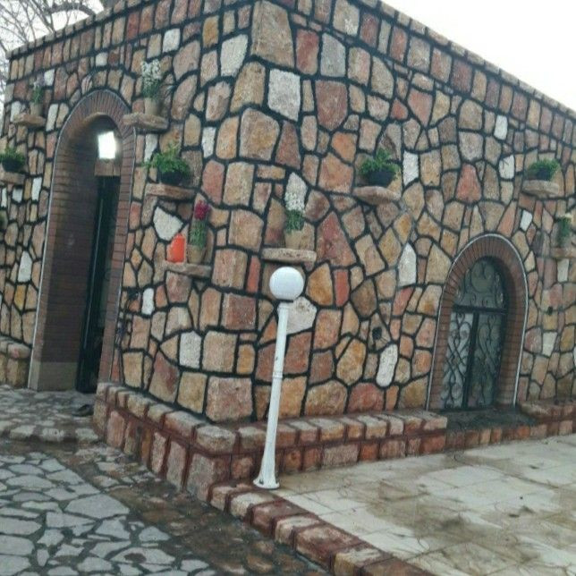 اکبر محمدی
