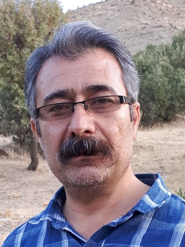 میرزا نظری